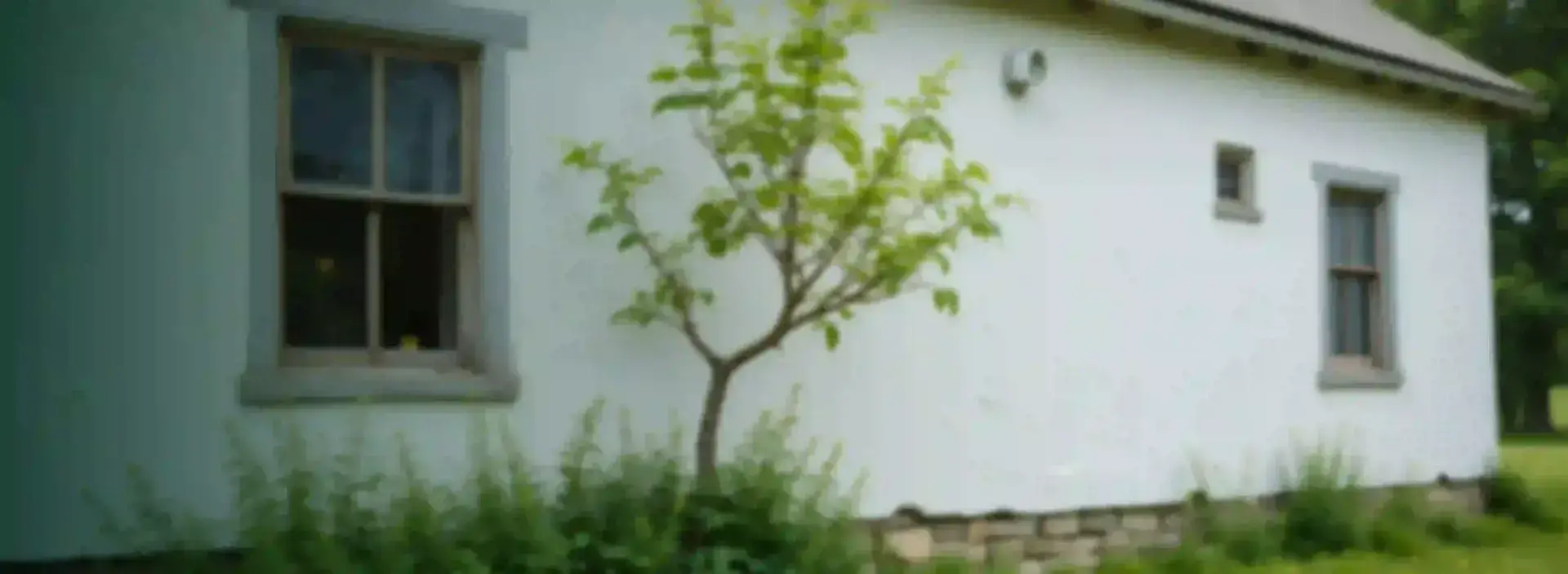 5333x1954px-BG-REMESAS-FAMILIARES