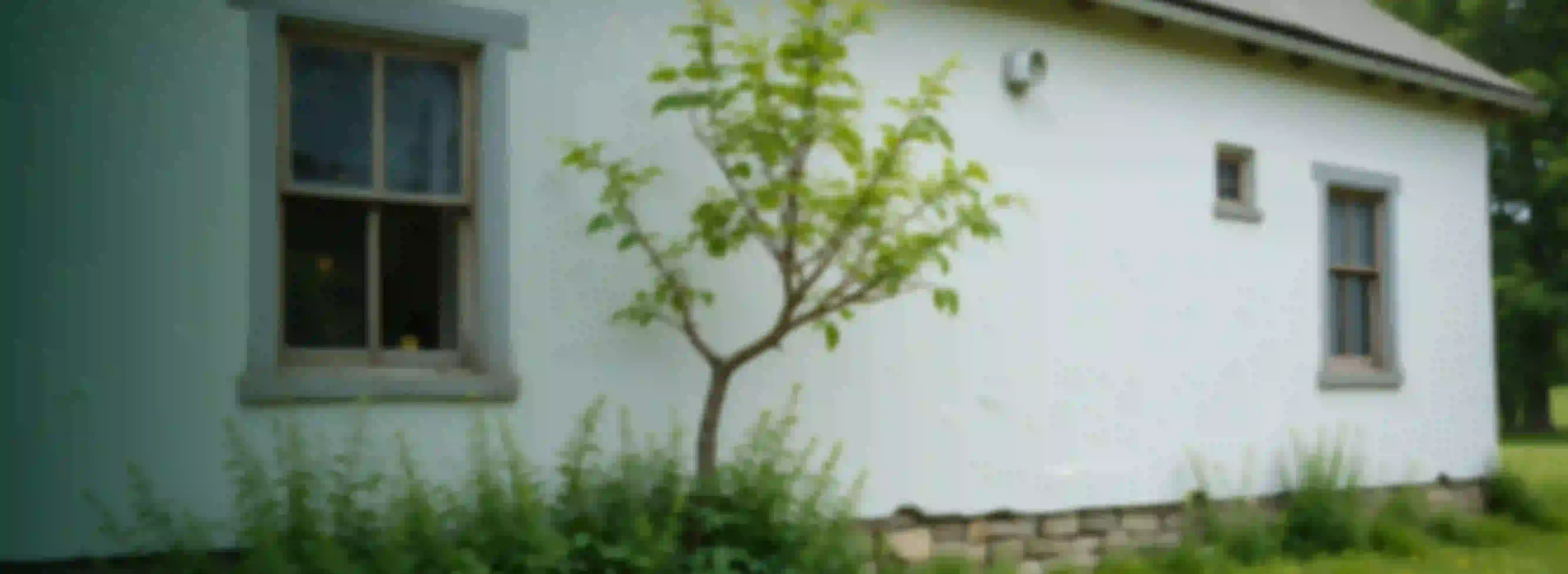 5333x1954px-BG-REMESAS-FAMILIARES