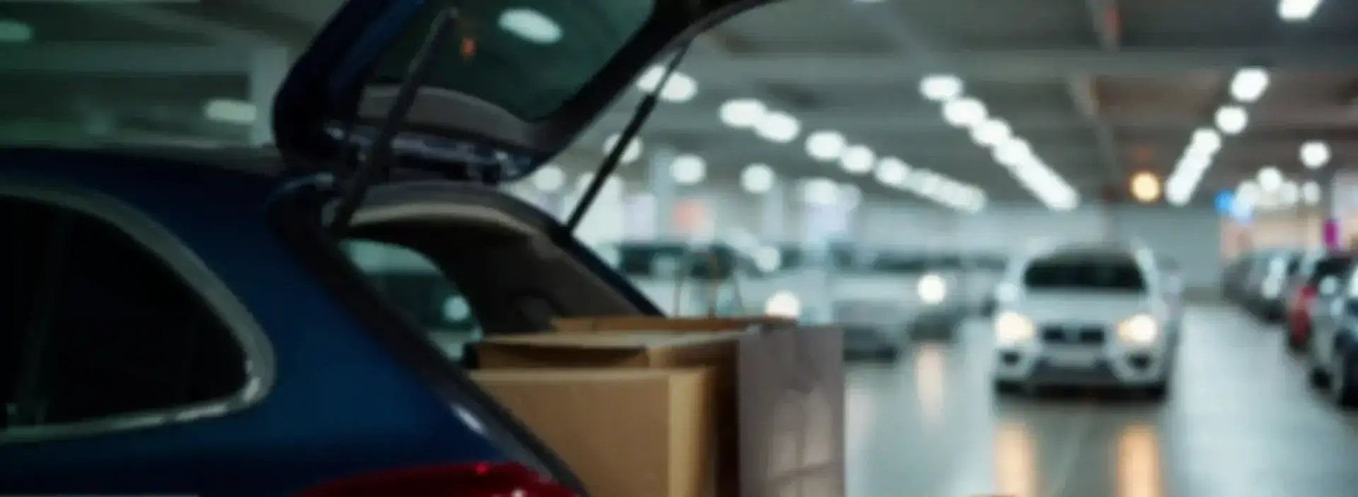 5333x1954px-BG-VIVEPASS-01