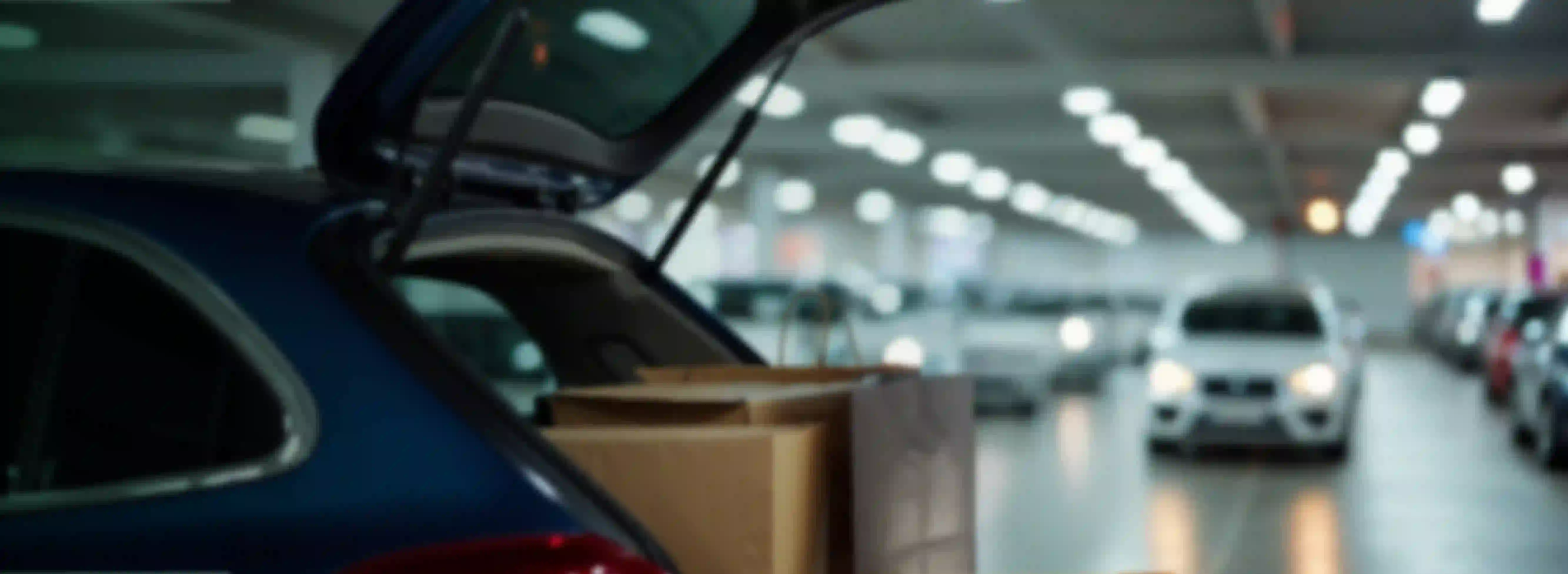 5333x1954px-BG-VIVEPASS-01