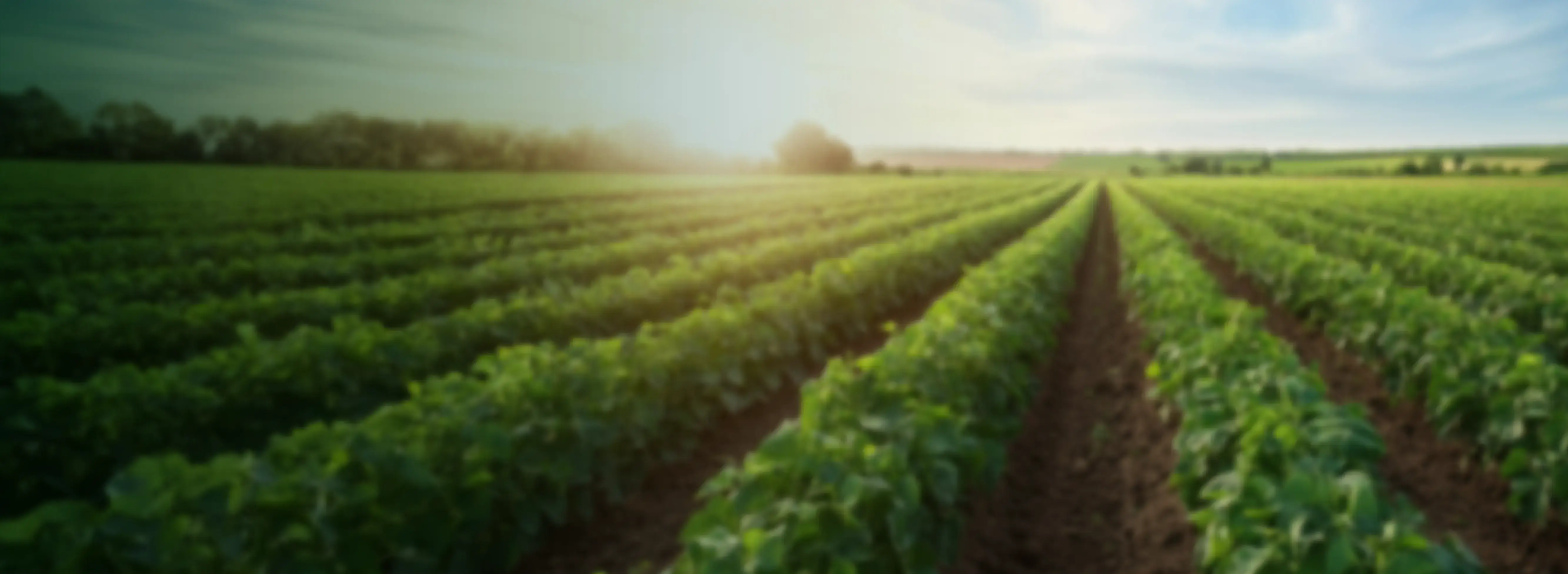 BG-AHORRO-MI-COSECHA-opt