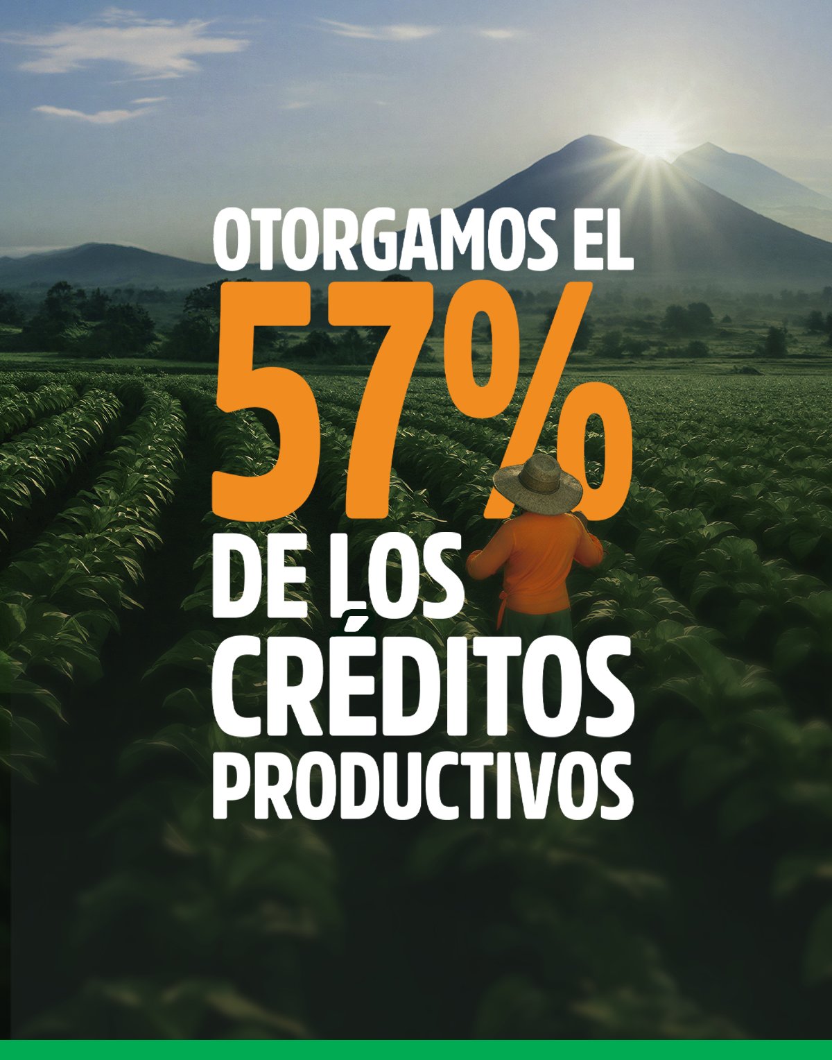 Banner_Campaña_02_Mobile