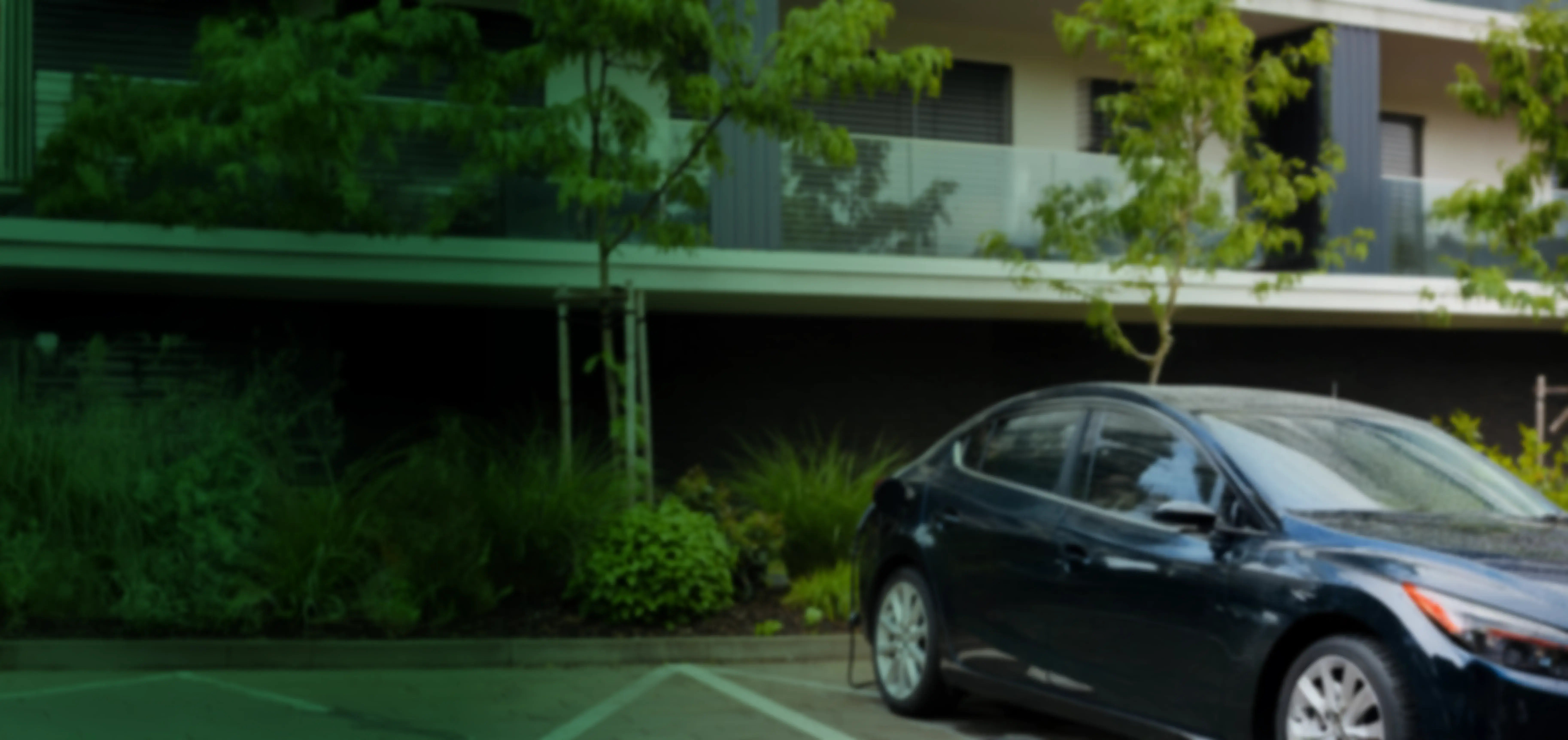 TC-Avanza Lite_ Fondo