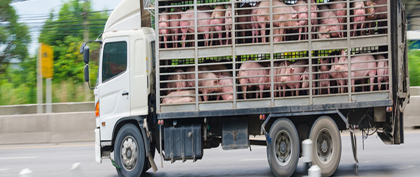 Crédito para Vehículo