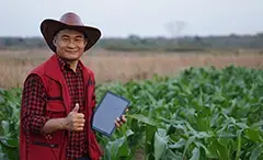 Línea de Crédito Abasto