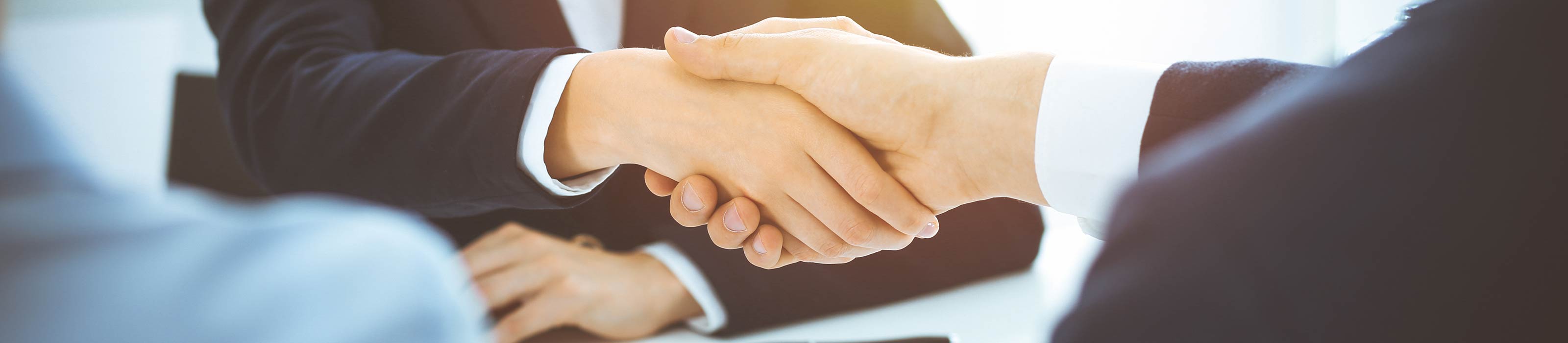 Fianza Fidelidad Individual