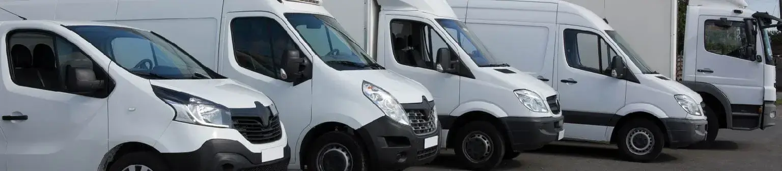 Mi Carro Seguro Plus para Flotillas