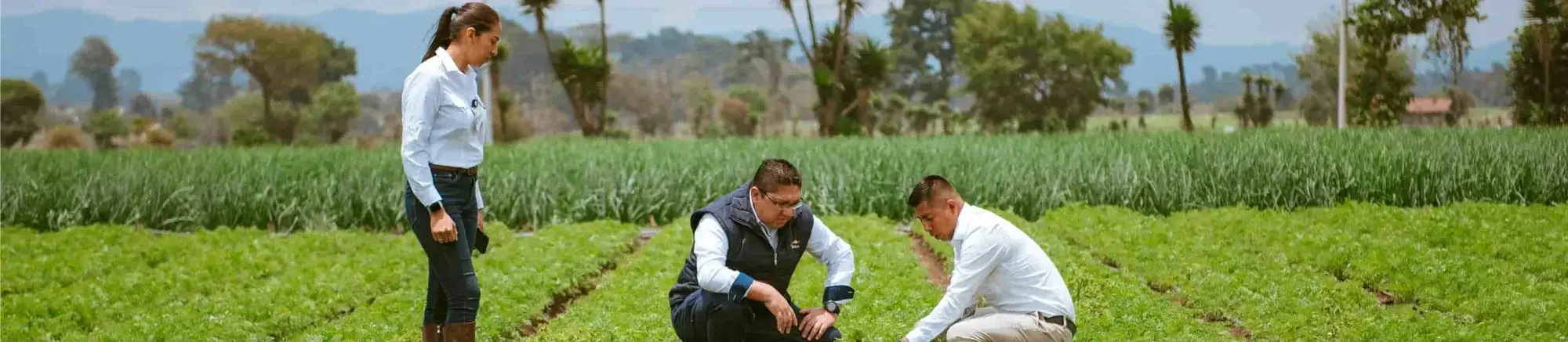 Capacítate en Agroamigo