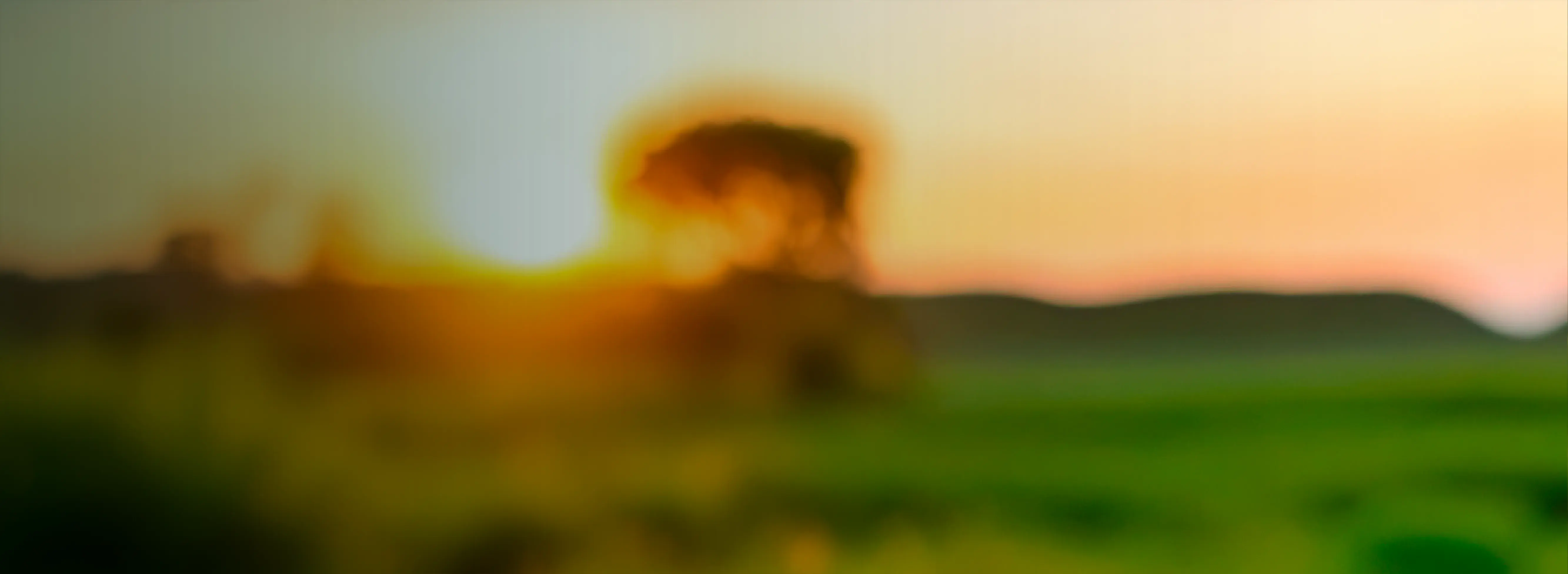 GPD-BANNER-AMIGO-MI-CASA