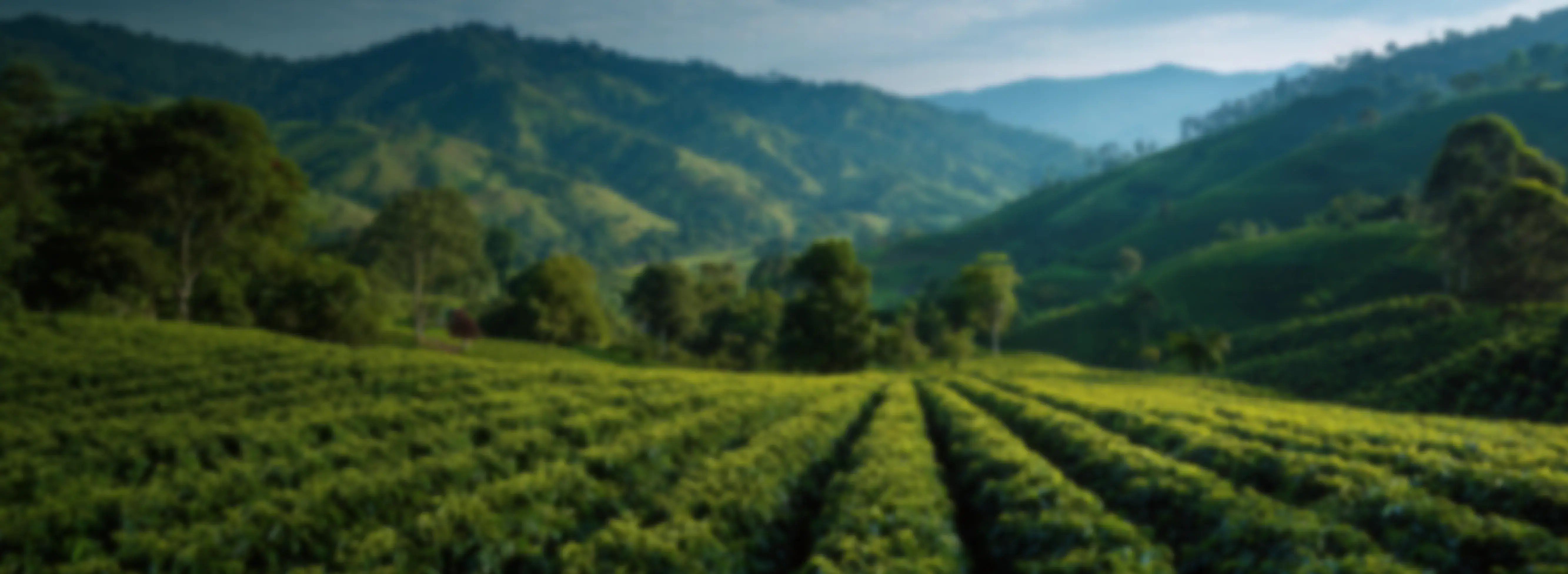 GPD-BG-CAPACITATE-AGROAMIGO