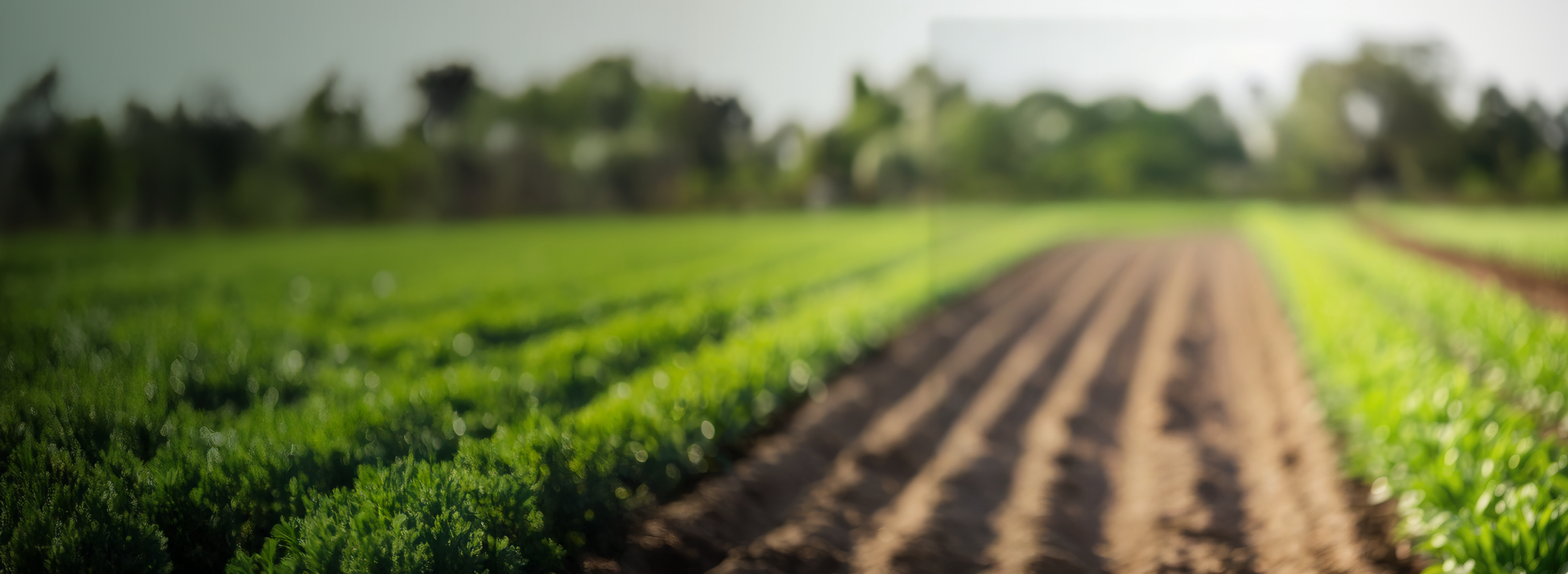 GPD_BG_AMIGOPRODUCTOR