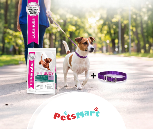 Petsmart Collar Morado Gratis_W