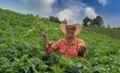 Cuenta Ahorro Mi Cosecha