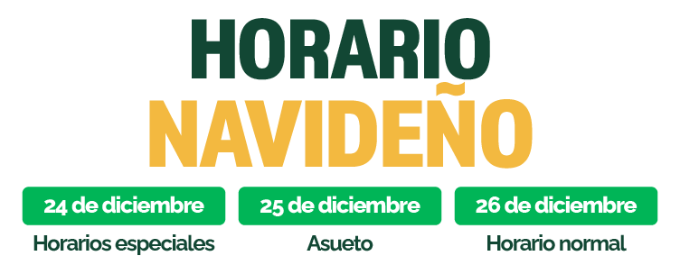 GPD-IMAGEN-OBJ-HORARIO-NAVIDAD-03
