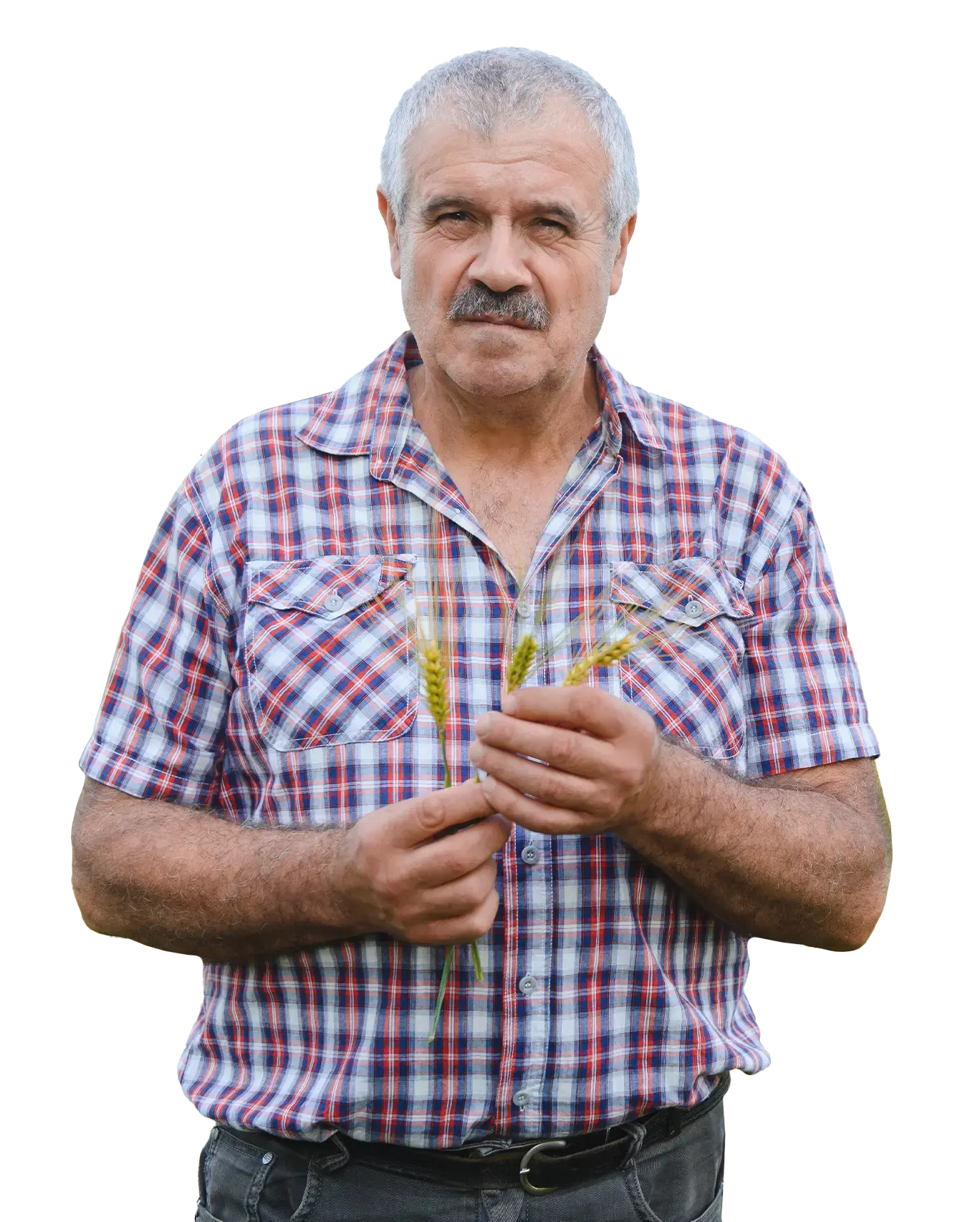 GPD_BG_ABASTO_PERSONA_