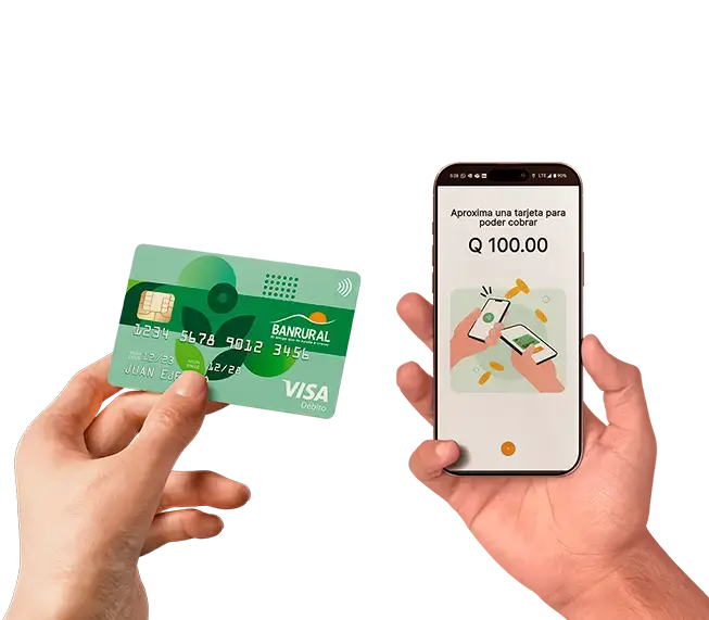 IMAGEN-ELEMENTOS-PRINCIPAL_01