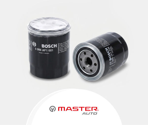 Master Auto Filtro de Aceite 25 des_W