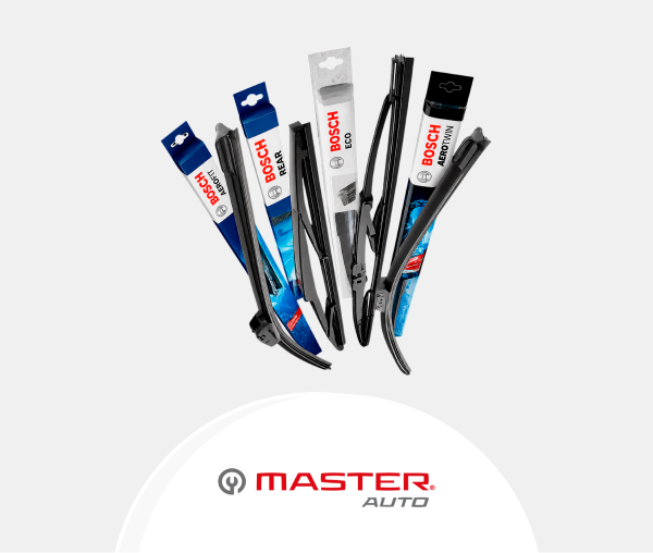Master Auto Plumillas 25 des_W