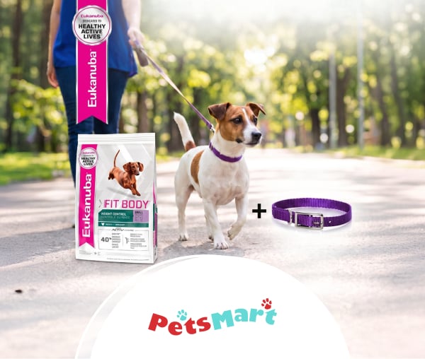 Petsmart Collar Morado Gratis_W