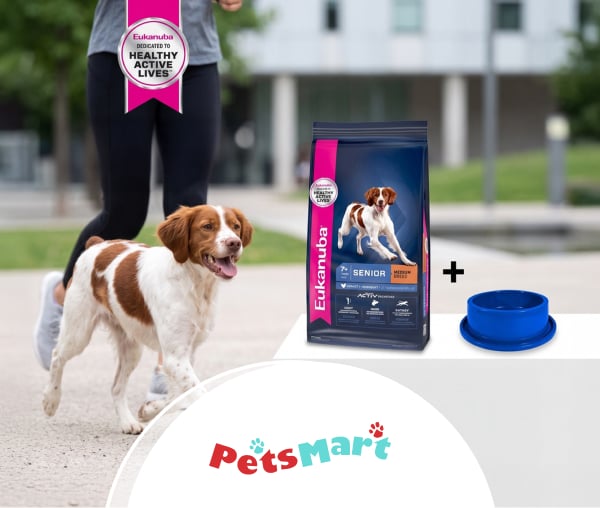 Petsmart Comedero Azul Gratis_W