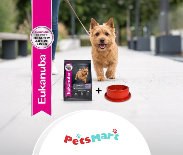 Petsmart Comedero Rojo Gratis_W