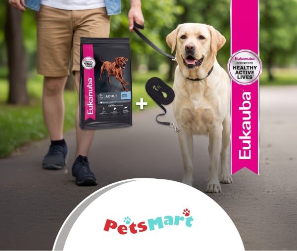 Petsmart Correa Negra Gratis_W