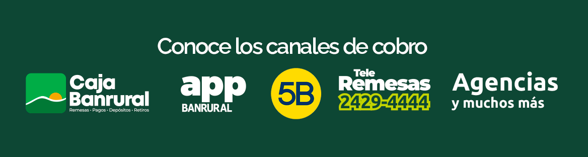 SGED-CANALES-REMESAS-001-VF