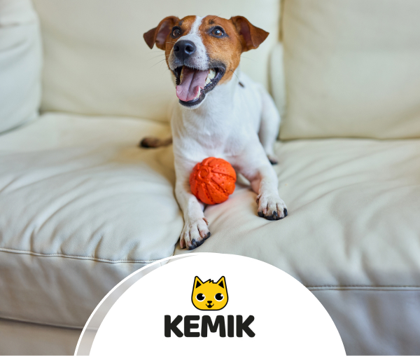 TLPromo_kemik, Compra en comercio kemik