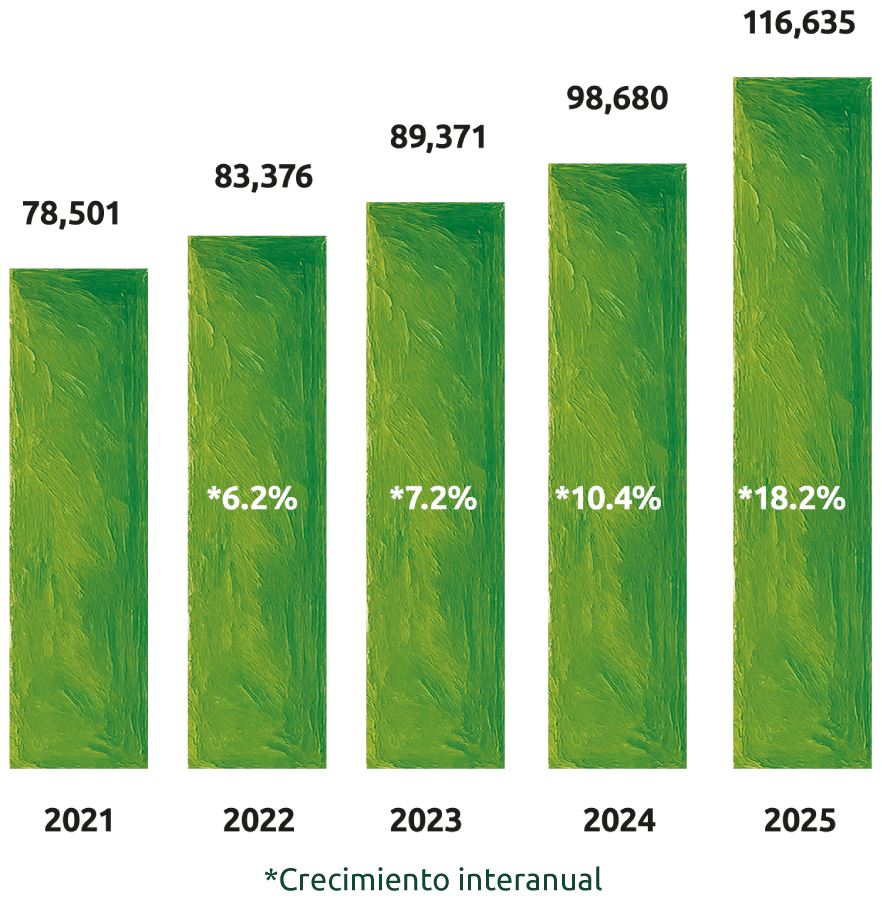Evolución de las obligaciones depositarias 2021 a 2025