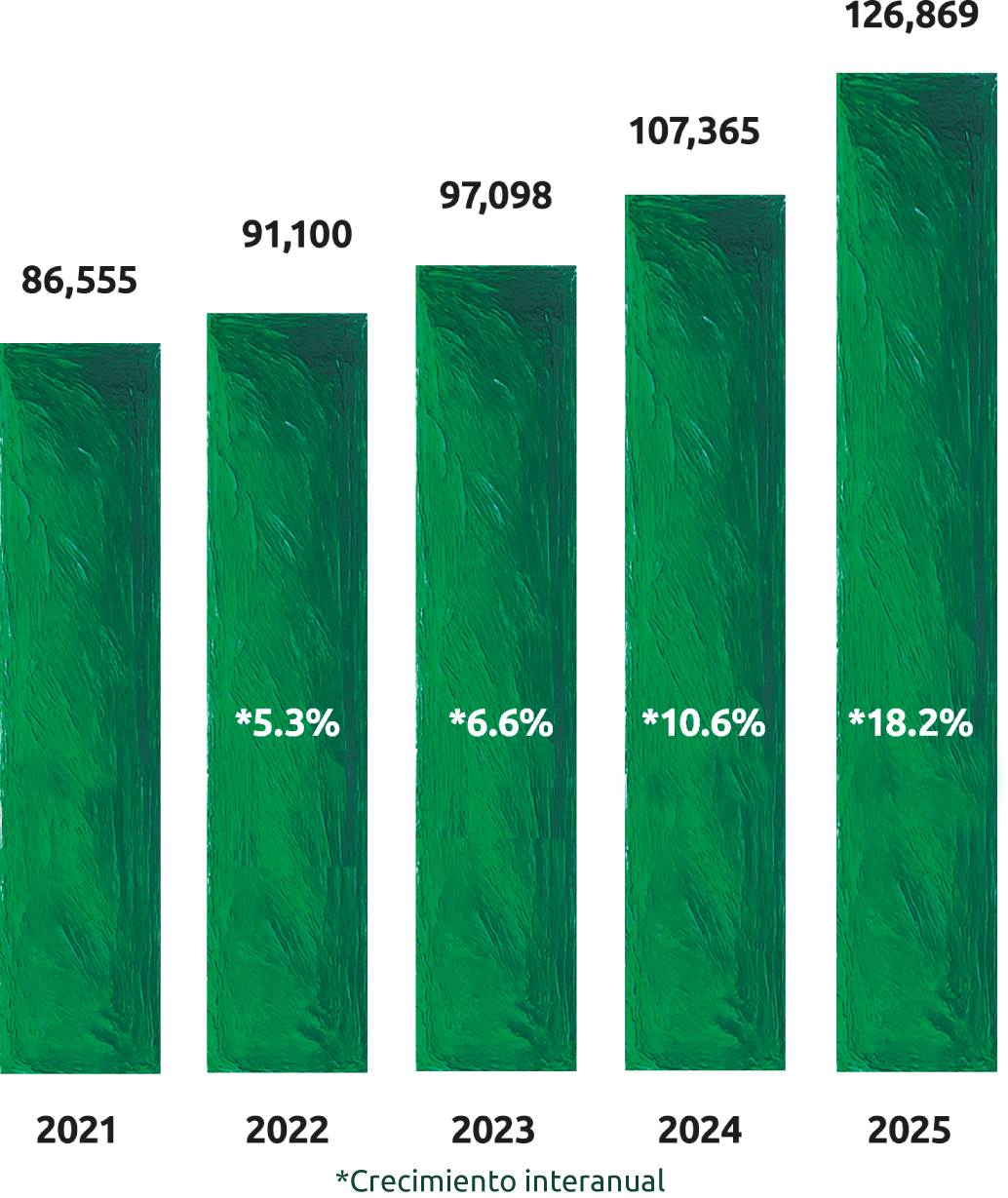 Evolución de los pasivos