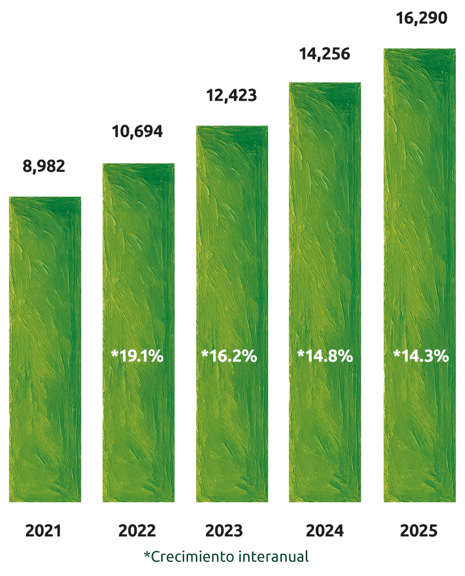 Evolución del capital contable