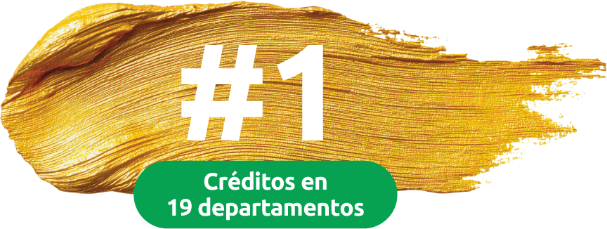 Mapa de participación por departamento