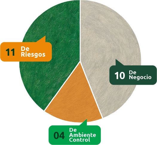Distribución de políticas de Administración de Riesgos y Ambiente de Control